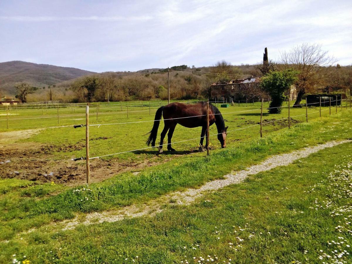 Antica Dimora Figli Di Bocco Leilighet Castiglion Fibocchi Eksteriør bilde